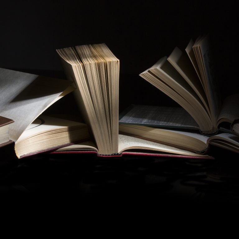 LitHub Everything About the Popular Literary Website