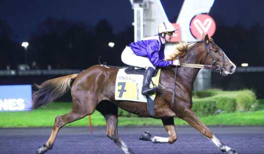 Prono Choc Turf Platform Overview Horse Racing Information